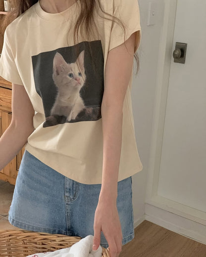 little cats top