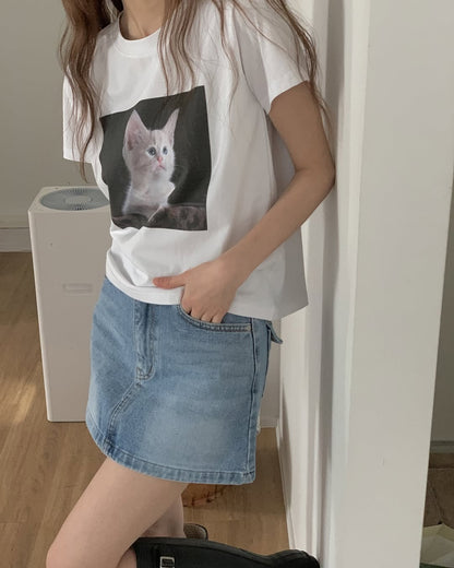 little cats top